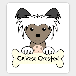 Chinese Crested Sticker